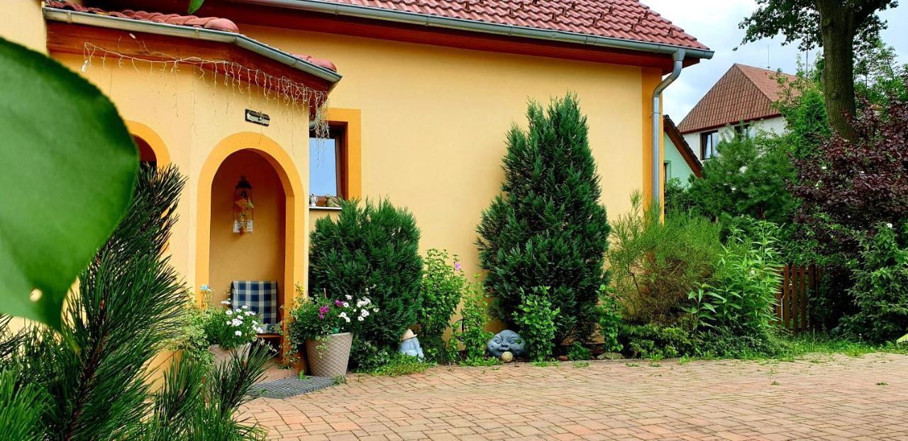 Penzion U Sykoru Třeboň Dış mekan fotoğraf