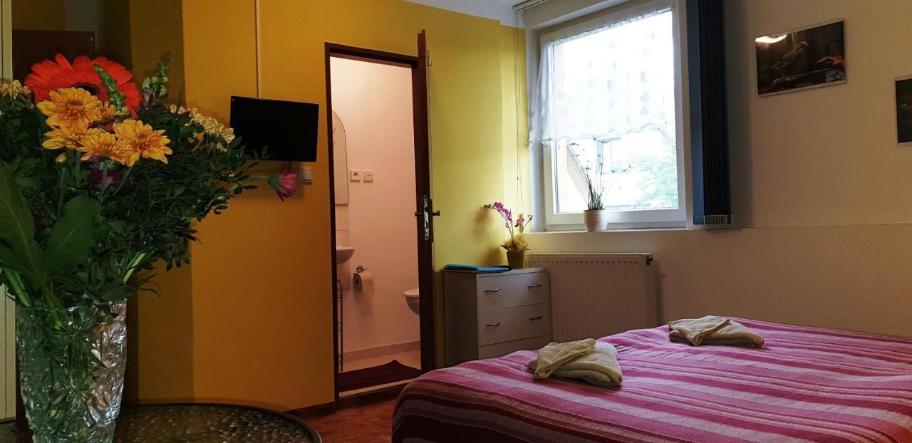 Penzion U Sykoru Třeboň Dış mekan fotoğraf